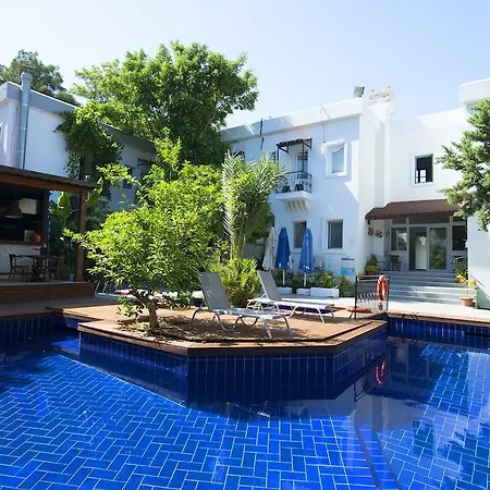 Hotel Centro 3*